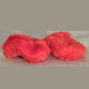 Red Plush Slippers